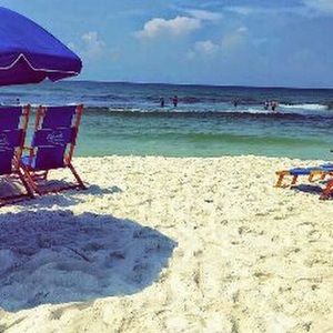 Meet your Posher, Molly